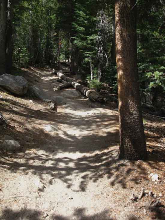 Sandy trail to Cathedral Lakes.
